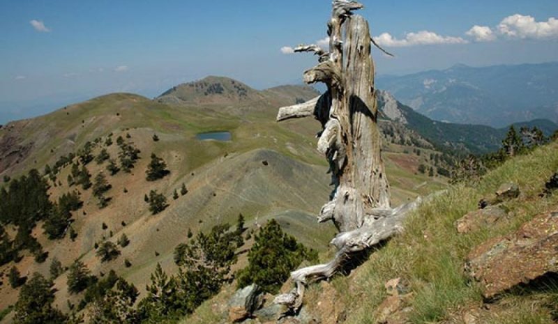 Σμόλικας και Τύμφη σε καθεστώς  αυστηρής προστασίας από το ΥΠΕΝ