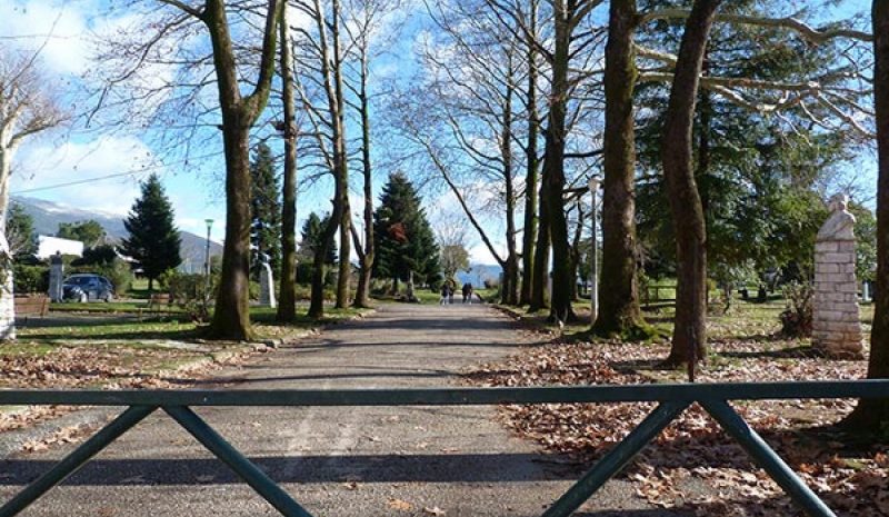 Λείπει το πράσινο από  την πόλη των Ιωαννίνων 