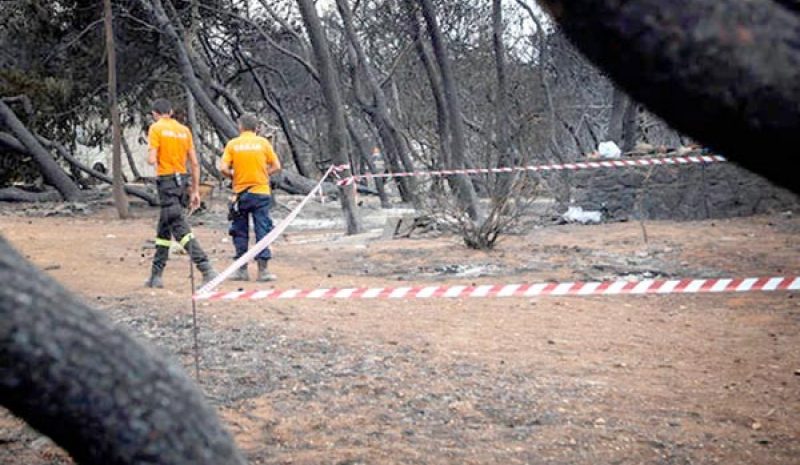 Μονάδα «δασοκομάντος» θα ιδρυθεί και στα Γιάννενα
