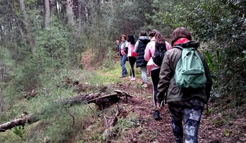Οργανωμένος περίπατος στο  δάσος  της Ηγουμενίτσας