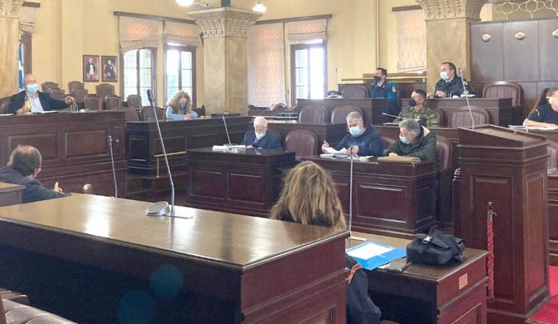 Τα μάτια όλων… δεκατέσσερα για   δασύλλιο - Πάρκο Πυρσινέλλα!