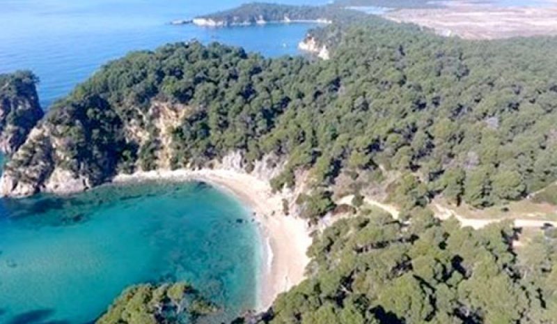 Διχάζει το ιδιοκτησιακό καθεστώς  του δάσους Βαλανιδοράχης στην Πάργα