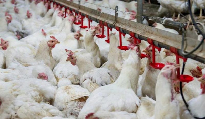 Θετικές γνωμοδοτήσεις για  νέες μονάδες στην Ήπειρο