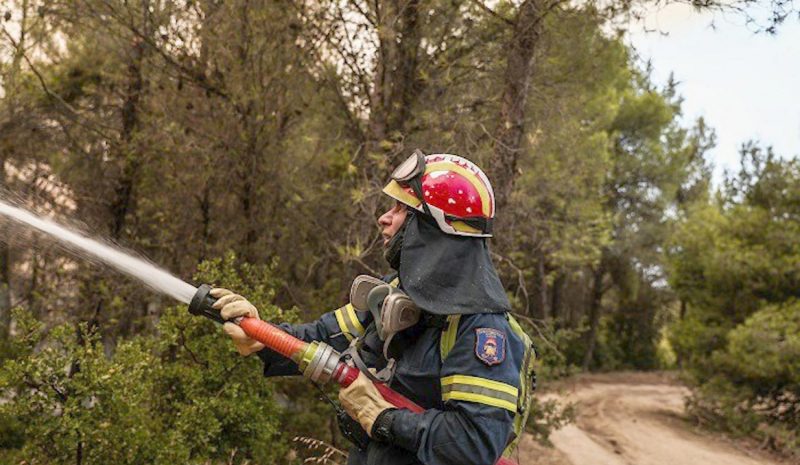 Ορκίστηκαν οι δασοκομάντος  και αρχίζει η εκπαίδευσή τους