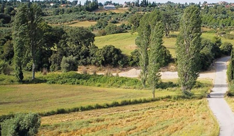Παράταση έως 15 Ιουλίου για υποβολή  αντιρρήσεων στους δασικούς χάρτες