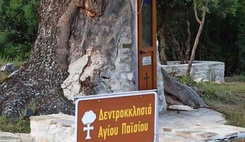 Γιορτάζει η Δεντροκκλησιά Αγ. Παϊσίου στην Αγία Βαρβάρα της Κόνιτσας