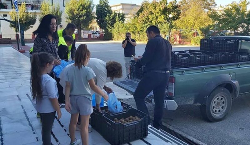 Δωρεάν διάθεση ακτινιδίων σε  μαθητές του Δήμου Αρταίων 