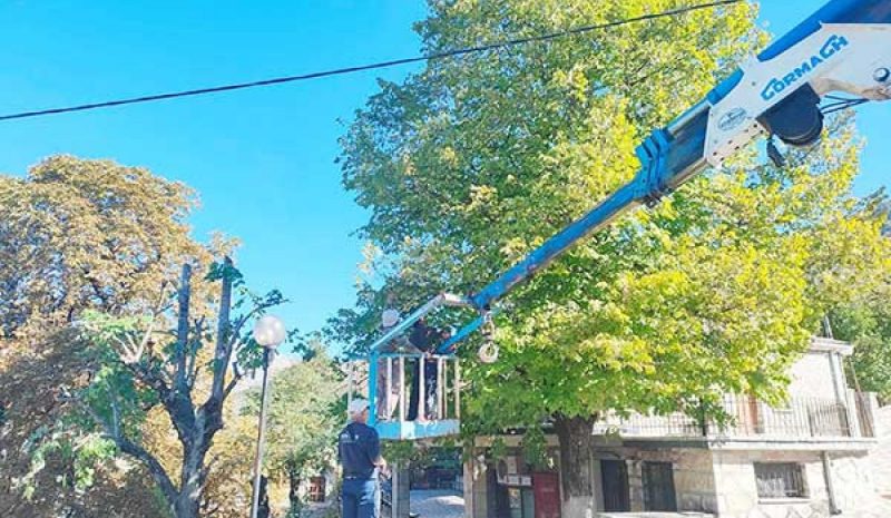 Επικίνδυνα δέντρα κόβει ο Δήμος Πωγωνίου