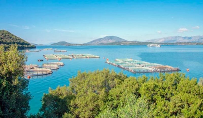 Με προοπτικές ο κλάδος της ελληνικής υδατοκαλλιέργειας