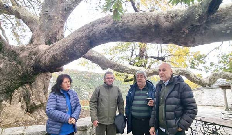  Συνεργασία για την προστασία του υπεραιωνόβιου πλατάνου της Βίτσας 
