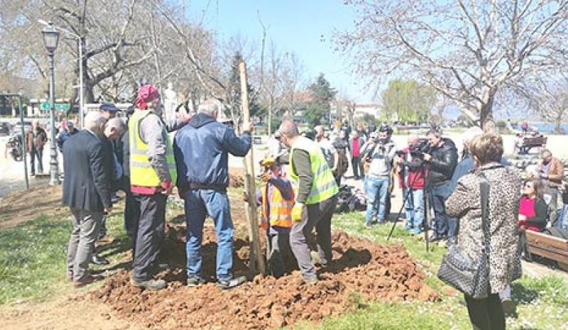 Τρία δέντρα σύμβολα μνήμης  απέκτησε η πλατεία Μαβίλη 