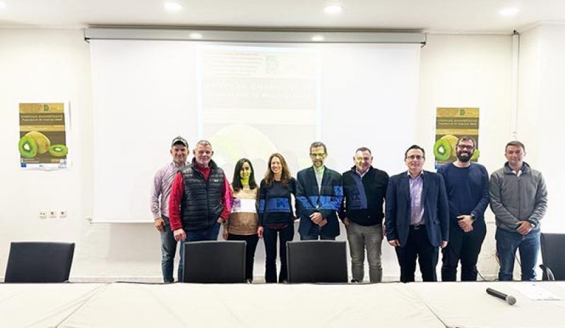  Στο ερευνητικό… μικροσκόπιο η καλλιέργεια του ακτινιδίου 