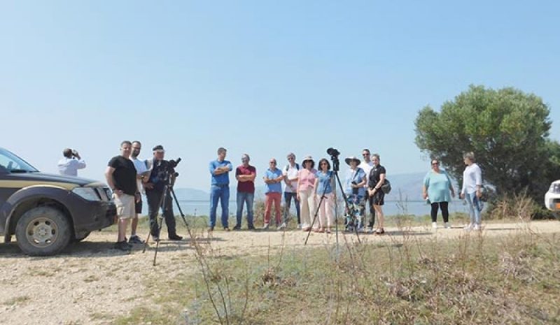 Η γρίπη των πτηνών απειλή για τους αργυροπελεκάνους!