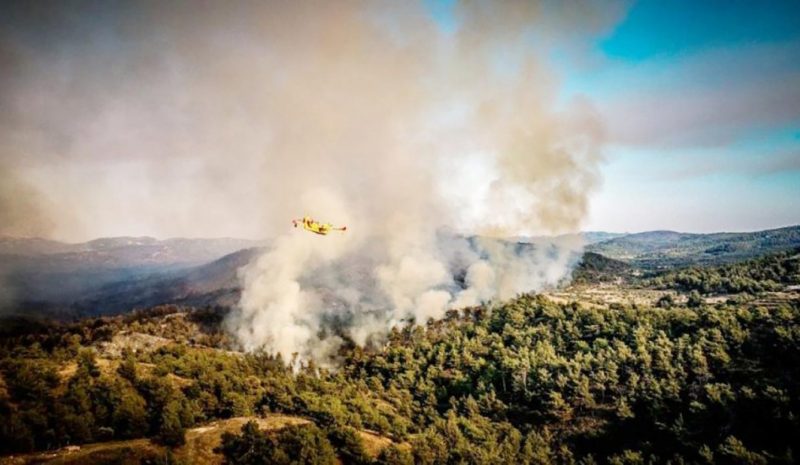 Θεσπρωτός αστυνομικός απεγκλώβισε  ανθρώπους και ζώα από τη φωτιά...