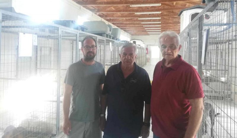 Το Δημοτ. Κυνοκομείο Ιωαννίνων δίνει  τα «φώτα του» στο Δήμο Πωγωνίου