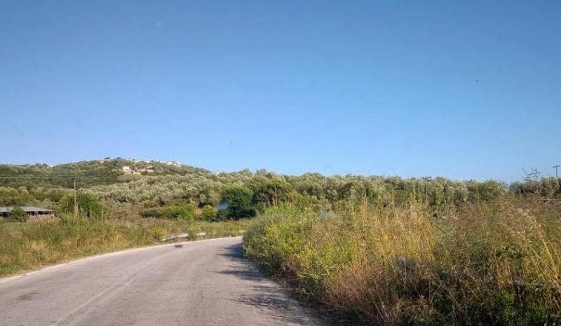 Ο δρόμος Ηγουμενίτσα - Σαγιάδα  γέμισε χορτάρια στις άκρες του