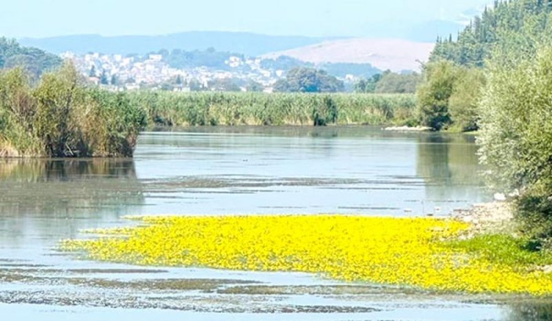 «Ξερόλες» για τον Περιφερειάρχη όσοι διαφωνούν μαζί του για τη λίμνη!
