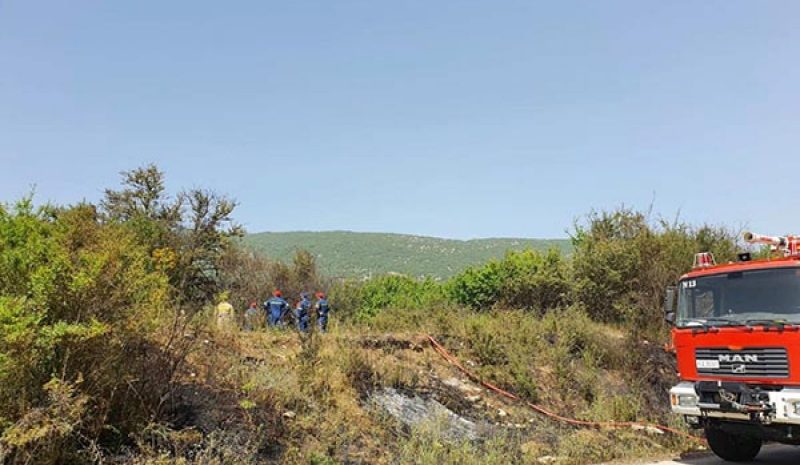 350 Πυροσβέστες από την Ε.Ε.  στην Ελλάδα για τις πυρκαγιές 