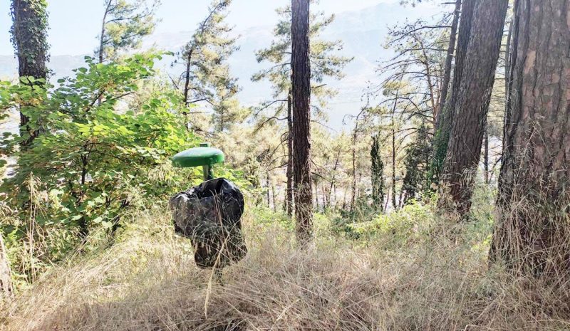 Γιατί δεν καθαρίστηκε μέχρι σήμερα το αισθητικό δασύλλιο Ιωαννίνων 