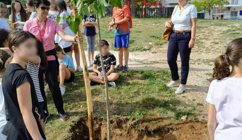 Περιβαλλοντικές δράσεις έγιναν σε τρία σχολεία