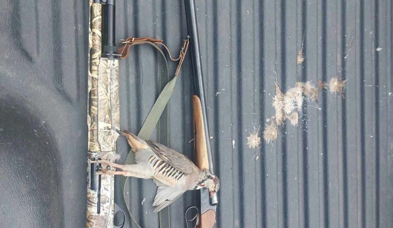 Δύο κυνηγοί στο… δόκανο για παράβαση του νόμου!