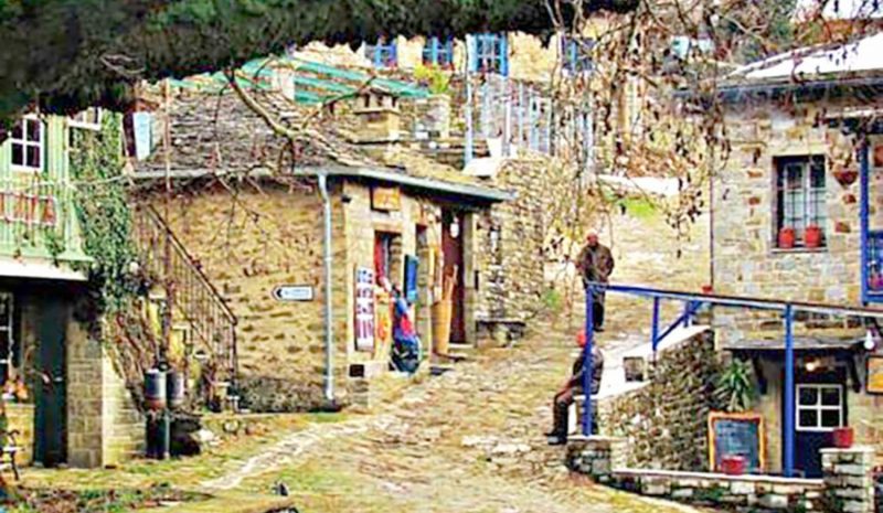 Το Τσεπέλοβο έγινε… στάβλος από τα πολλά αδέσποτα ζώα!