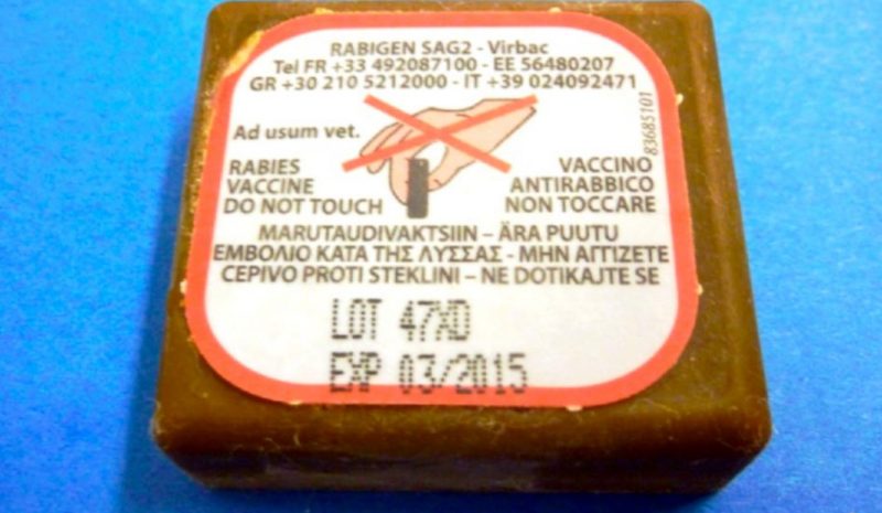  Σήμερα ξεκινά στην Περιφέρεια Ηπείρου η ρίψη εμβολίων κατά της λύσσας 