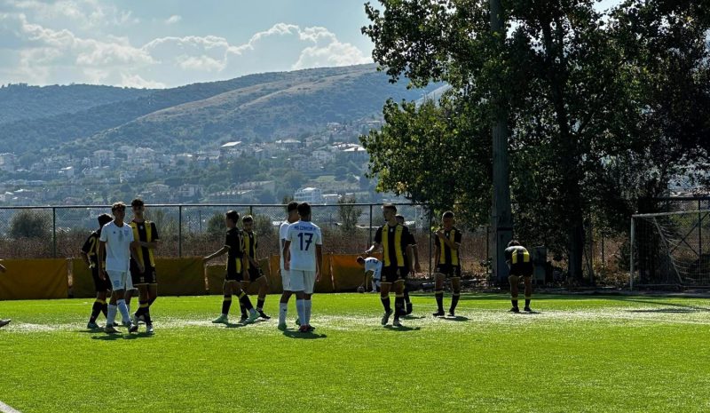 Κ17: ΠΑΣ Γιάννινα-Άρης 2-2