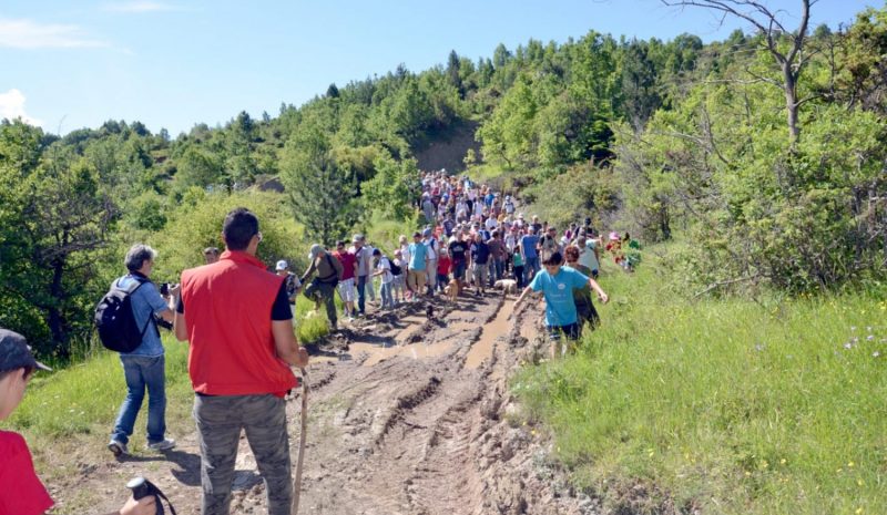  Τέσσερα προγράμματα κατάρτισης για 300 ανέργους από το Επιμελητήριο Ιωαννίνων 