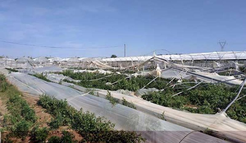 Αναθεώρηση του νομικού πλαισίου για τις  αποζημιώσεις ζητούν οι Γεωπόνοι Πρέβεζας 