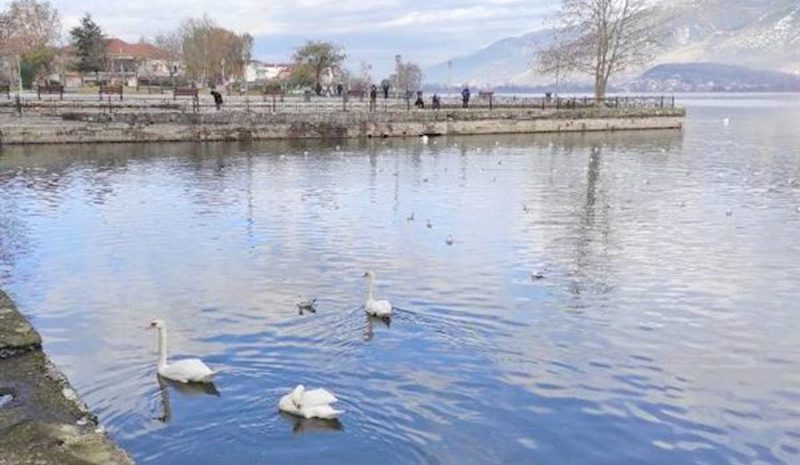  Σοβαρή είναι η επιβάρυνση  της Παμβώτιδας από τα όμβρια! 