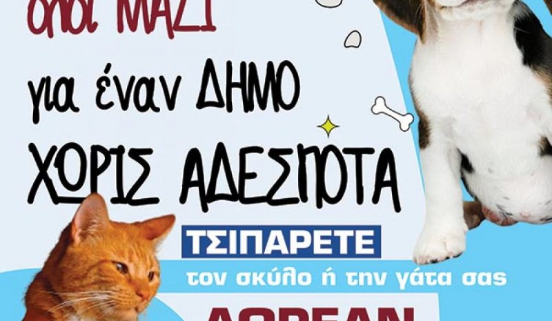Δωρεάν ηλεκτρονική σήμανση για 1.000 δεσποζόμενα ζώα από το Δήμο Αρταίων