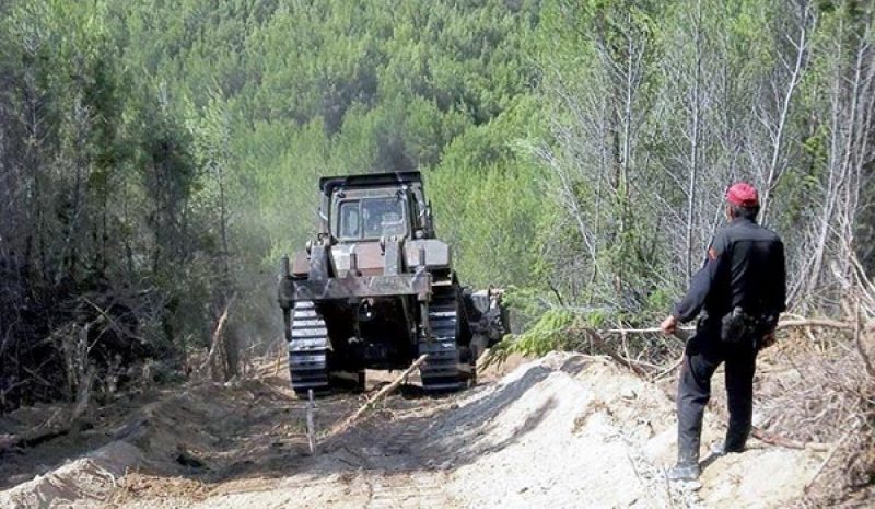 Β. ΚΙΚΙΛΙΑΣ: Να ξεκινήσουν έγκαιρα  οι διανοίξεις αντιπυρικών ζωνών