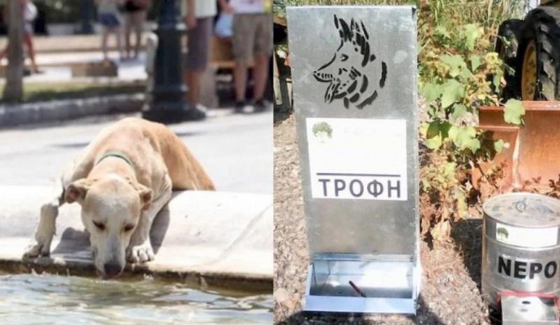 Ταΐστρες για τα αδέσποτα  στις Τοπικές Κοινότητες!