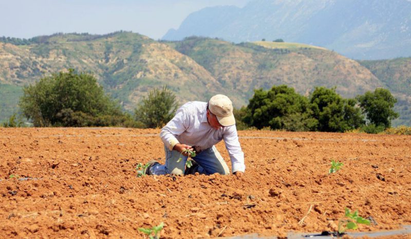 Υποχρεωτική η δήλωση  απασχόλησης στον ΕΦΚΑ