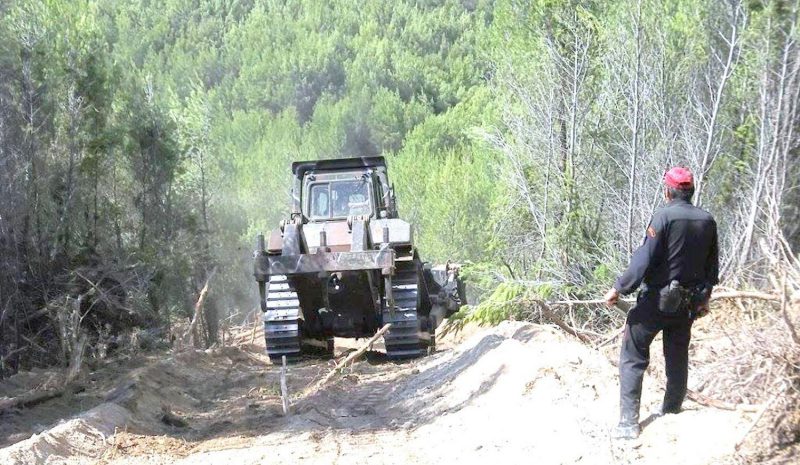  Αντιπυρικές ζώνες σε οικισμούς  δίπλα σε δάση θα κάνει το ΥΠΕΝ  