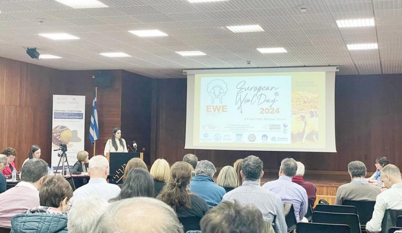   Το μαλλί, πολύτιμη πρώτη ύλη  για την τοπική οικονομία! 