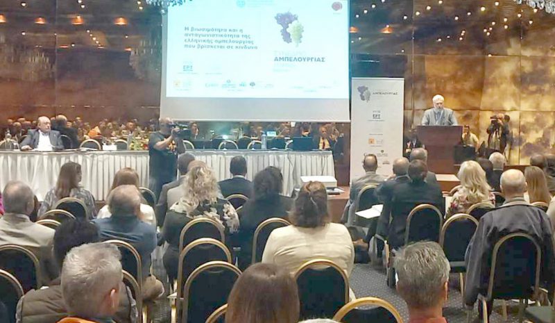 Σε κρίσιμo «σταυροδρόμι» η ελληνική αμπελουργία!