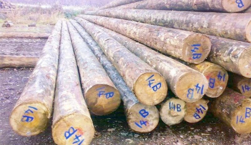 Οικονομικό πλήγμα για τους  Δασικούς Συνεταιρισμούς!