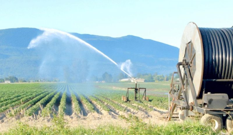 Παρατείνεται το πρόγραμμα  για φθηνό ρεύμα στους Αγρότες