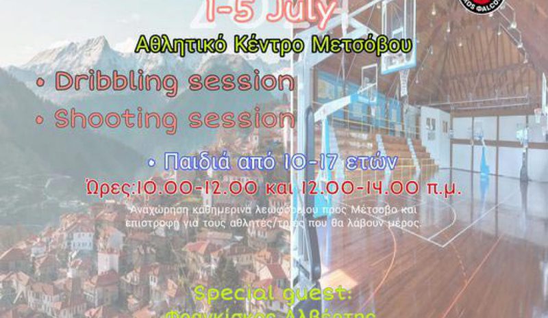 Vikos Φalcons Academy: Διοργανώνει το 1ο Μέτσοβο Basketball Camp