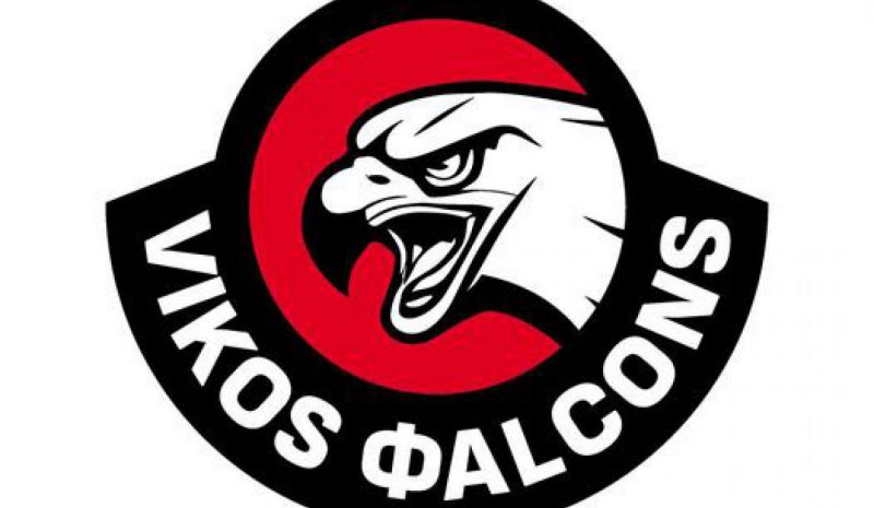 Ξεκίνησαν την προετοιμασία τους ενόψει Elite League οι Vikos Falcons