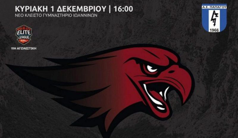 Στη διάθεση του κοινού τα εισιτήρια  του αγώνα Vikos Φalcons - Παπάγου
