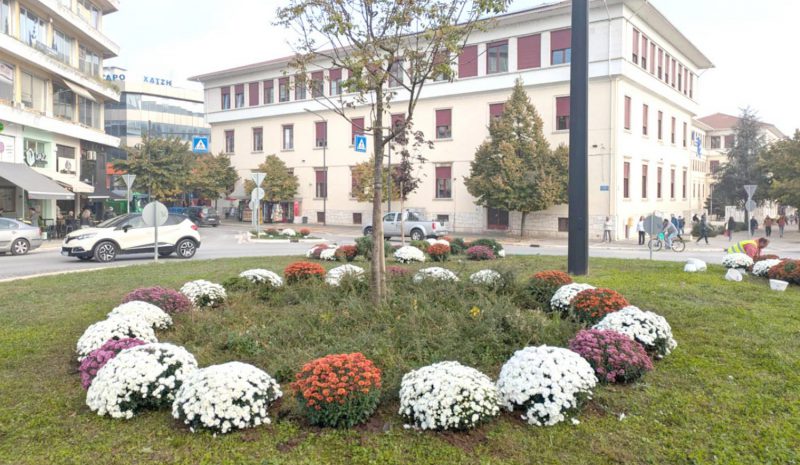 Γειτονιές πρασίνισαν με δέντρα και λουλούδια 