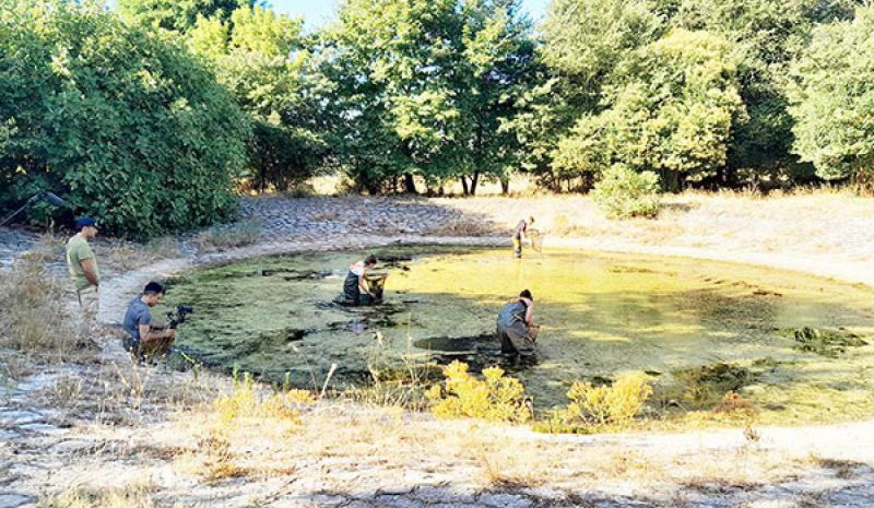 Χαρτογραφήθηκαν τα λιμνία  στην περιοχή της Παμβώτιδας