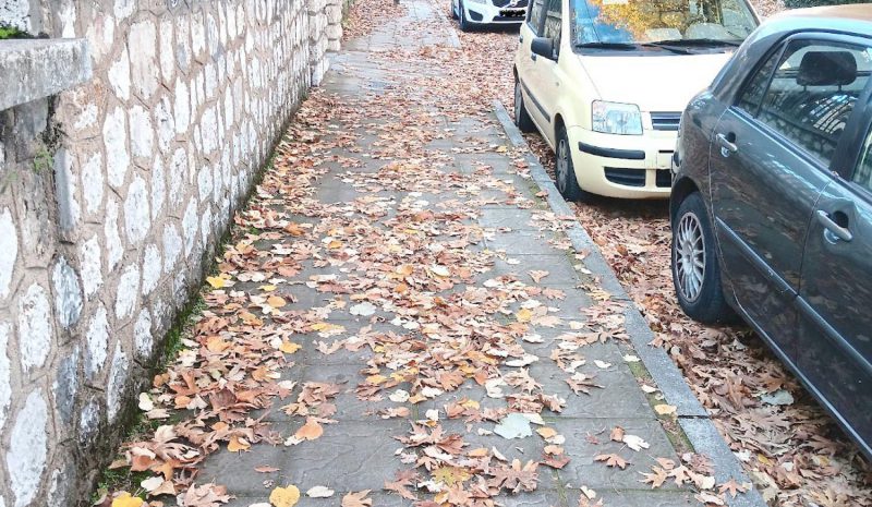 Τα φύλλα που πέφτουν αναδεικνύουν την  ανεπάρκεια του Δημοτικού Μηχανισμού!