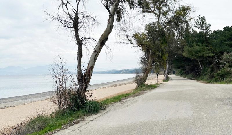 Ο ποδηλατόδρομος ενισχύει  τη βιώσιμη κινητικότητα 