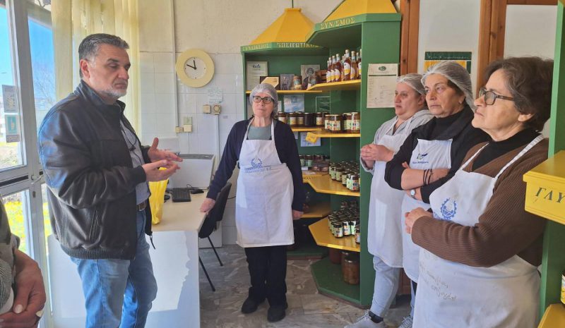 Πρότυπο λειτουργίας ο Γυναικείος Ηπειρωτικός Συνεταιρισμός «Γ.Η.Σ.»