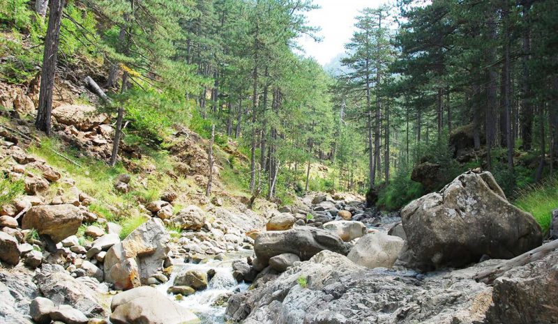  Ο ΟΦΥΠΕΚΑ γιορτάζει την Ευρωπαϊκή ημέρα NATURA 2000 