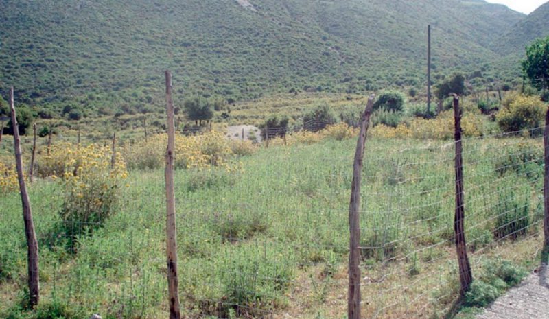 Και το Επιμελητήριο Ιωαννίνων αντιδρά  στο Π.Δ. για τους μικρούς οικισμούς